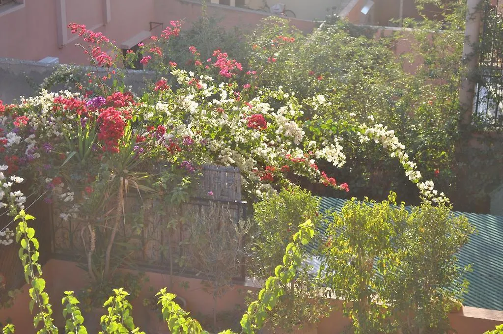 Appartement Andalou Marrakesz 0*,
